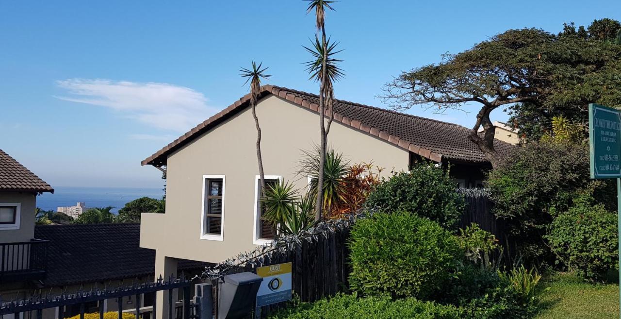 Crooked Tree Cottage Durban Kültér fotó